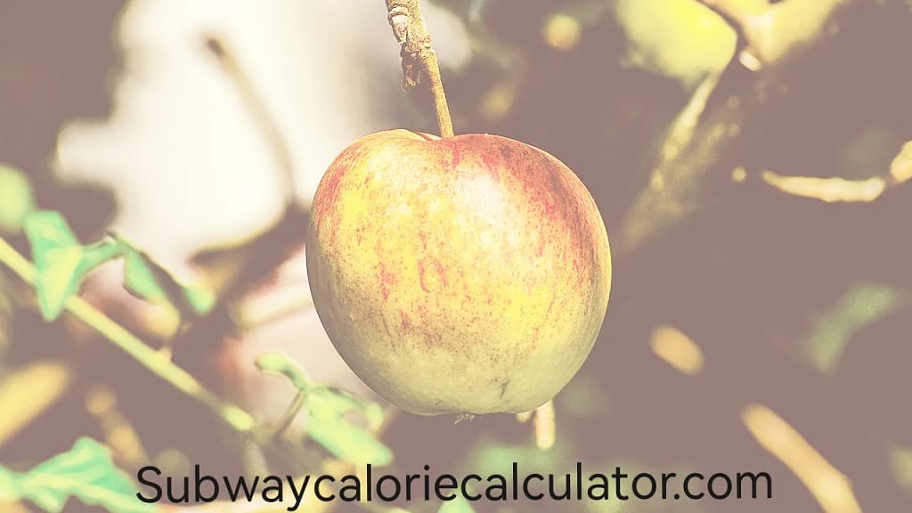 Calorie Calculator for Kids