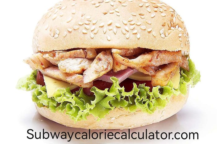 Facts and Figures about Subway Wheat Bread